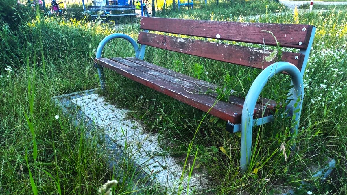 Ogród Różany Ostróda Ćwiklińskiej Strefa Aktywności