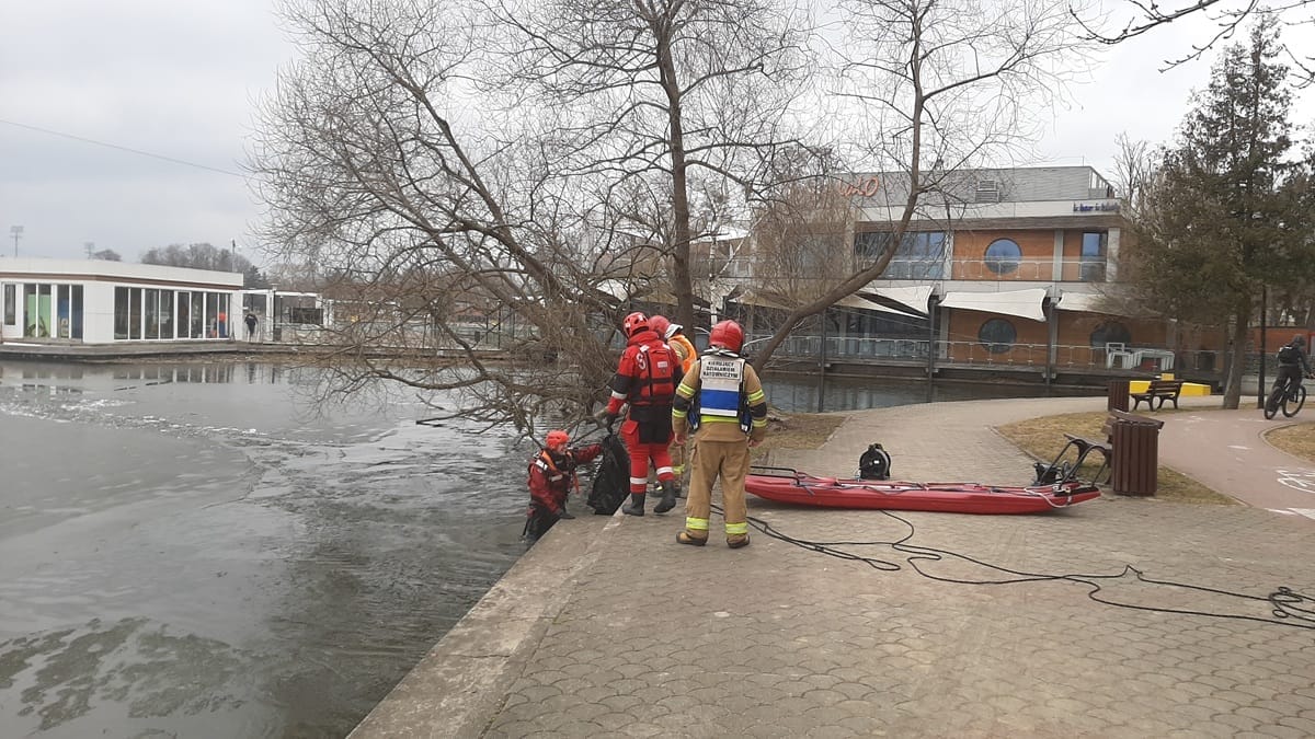 Akcja Służb Nad Jeziorem Drwęckim. Padłe Ptaki W Wodach Jeziora